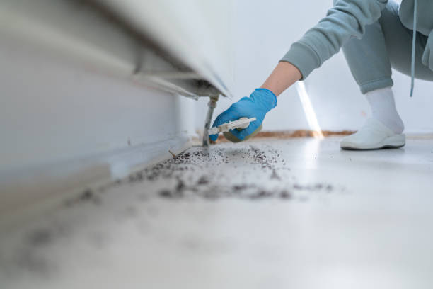 Professional Pest Control in Harkers Island, NC